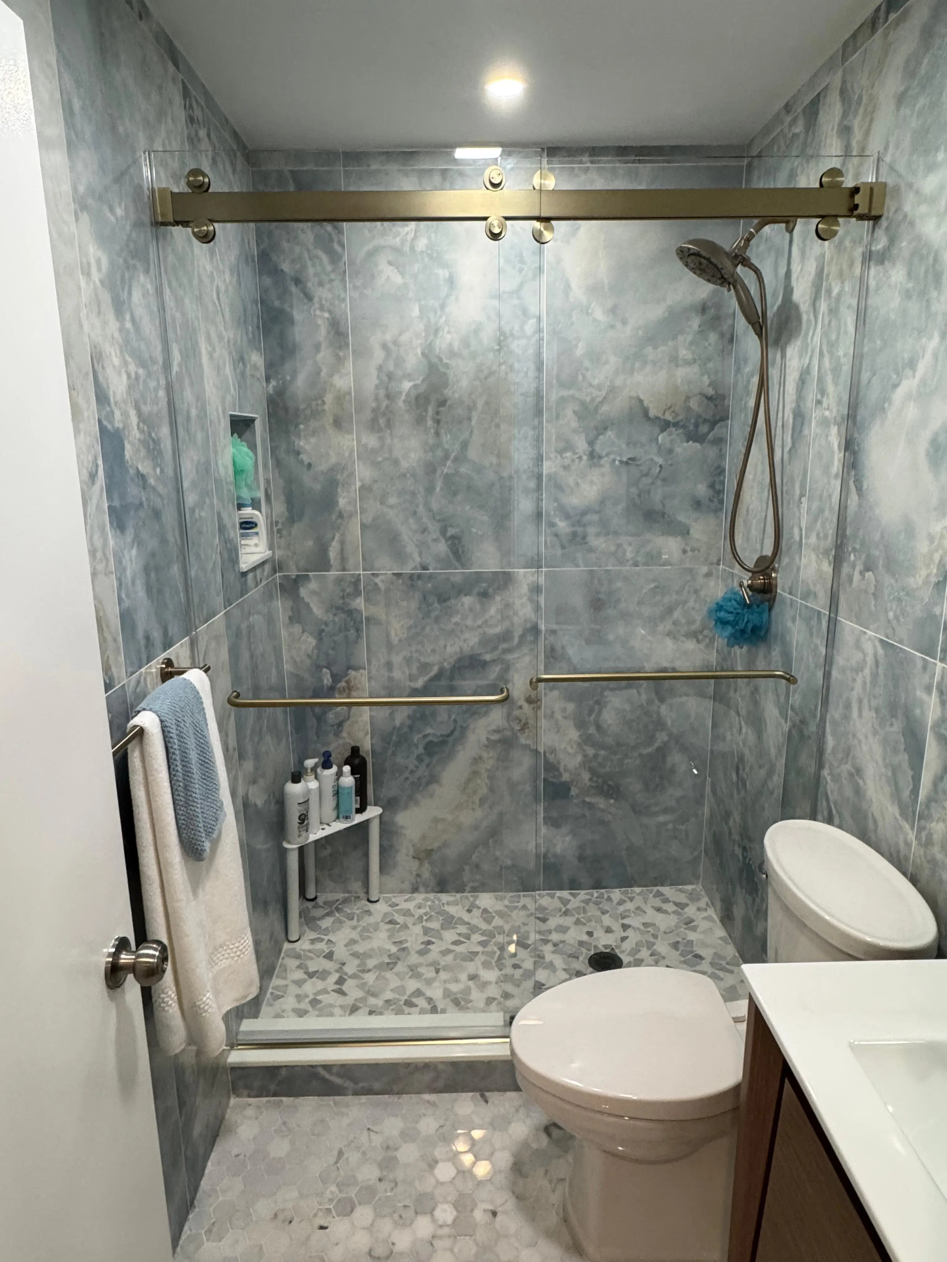 Shower Doors | Southeast Wood Haven Lane Residence